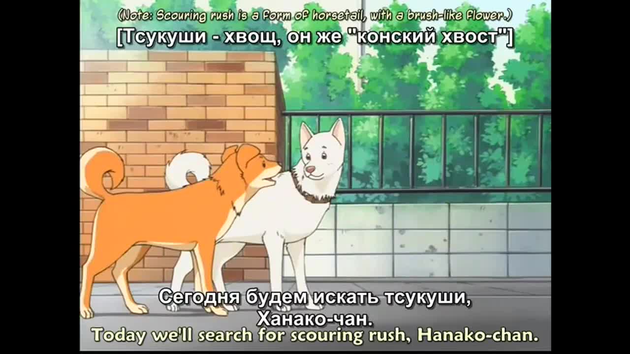 Вперёд! 2 - кадр 2