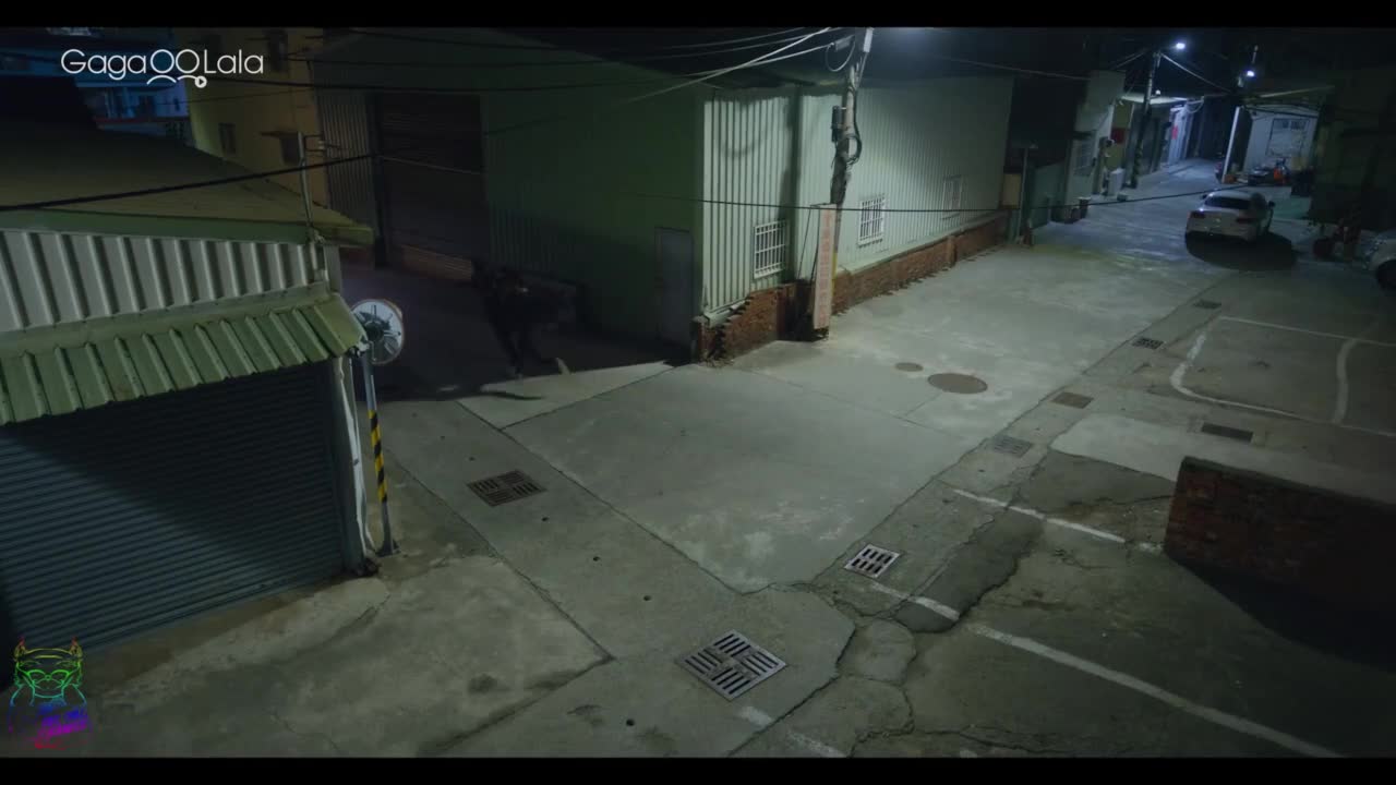 Dan Yi Chang Wan Mei Lian Ai - кадр 4