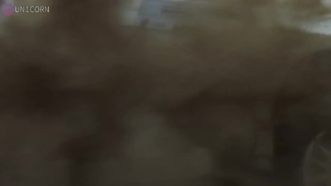Пегас - кадр 1