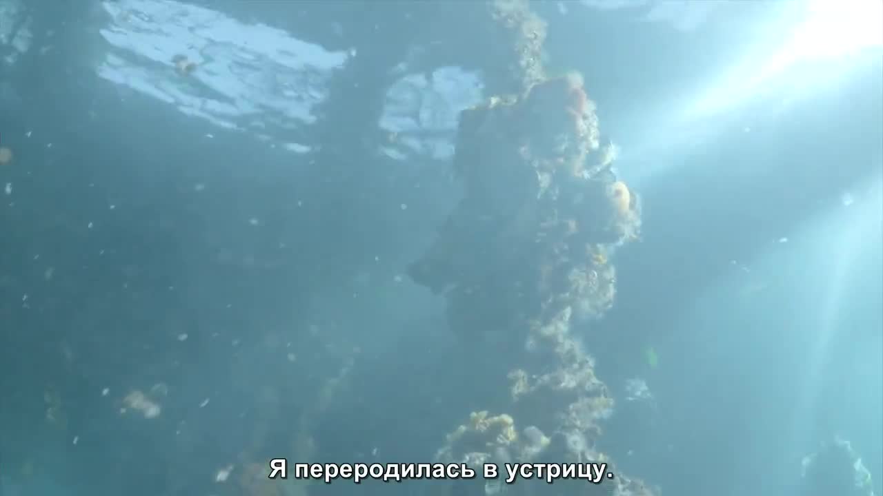 Монэ, добро пожаловать домой - кадр 5
