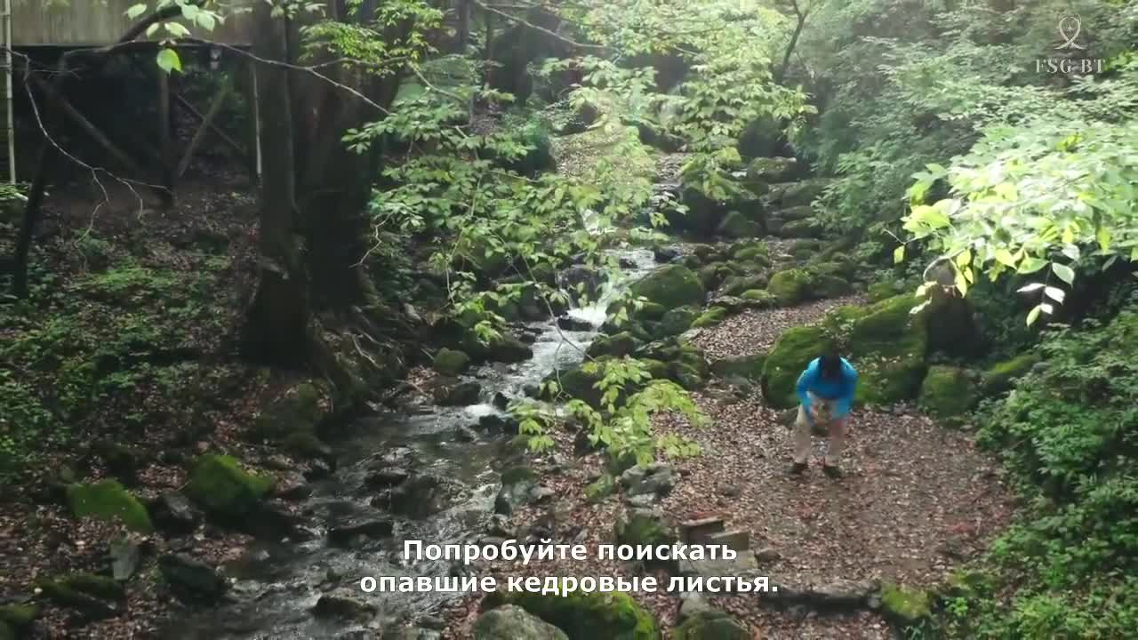 Соло кемпинг на двоих - кадр 1