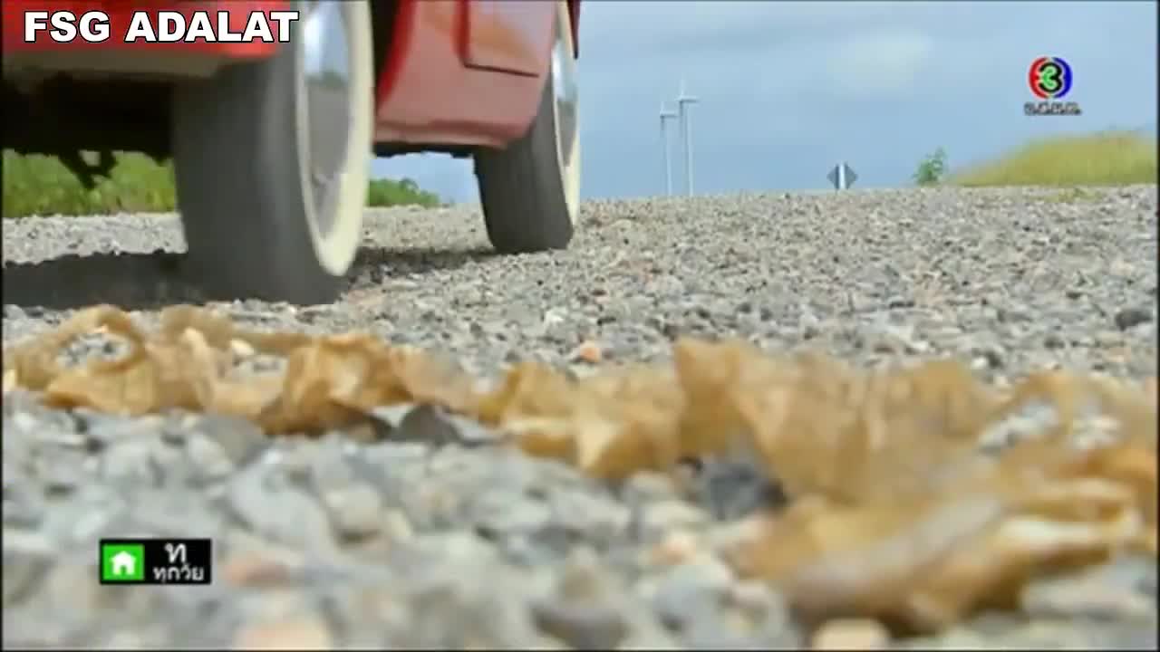 Не дёргай тигра за усы - кадр 2