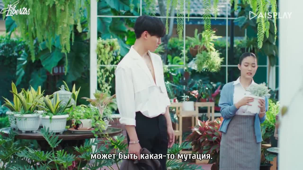 Моя солнечная ночь - кадр 3