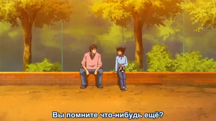 Детектив Конан: Дело о таинственной стене и чёрном лабрадоре - кадр 1