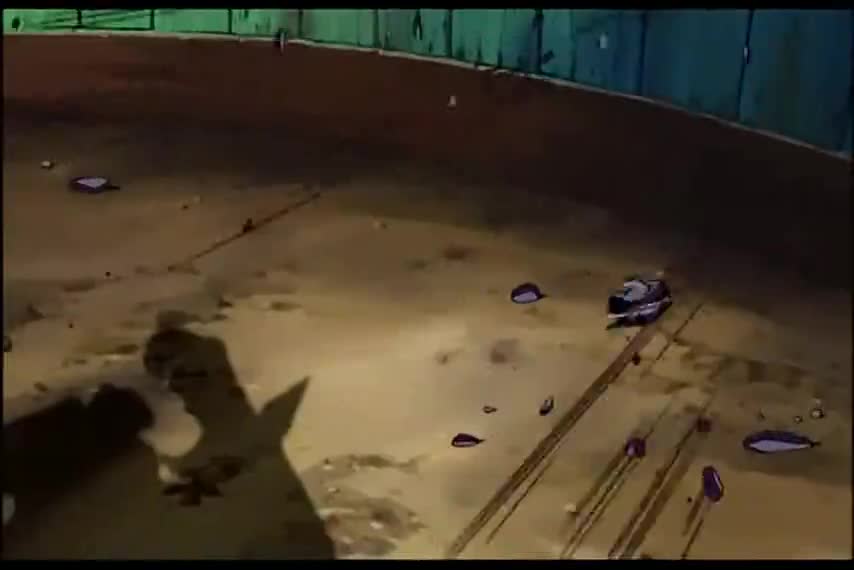 One Piece: Mezase! Kaizoku Yakyuu Ou - кадр 1