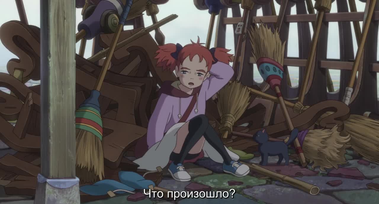 Мэри и ведьмин цветок - кадр 1