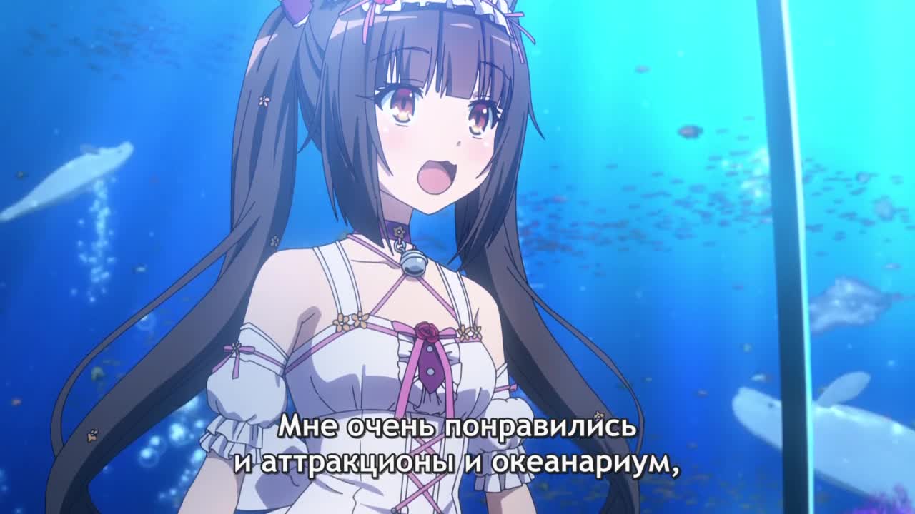 Кошачий рай - кадр 5