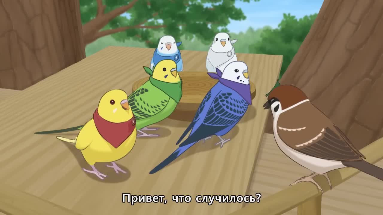 Разноцветные попугаи - кадр 1