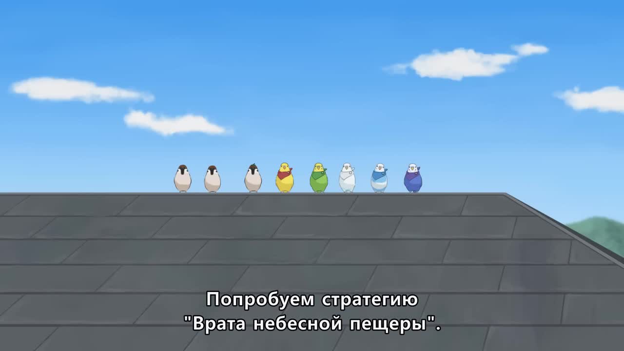 Разноцветные попугаи - кадр 2