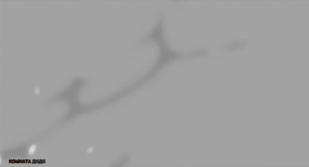 Блич: Воспоминания ни о ком - кадр 5
