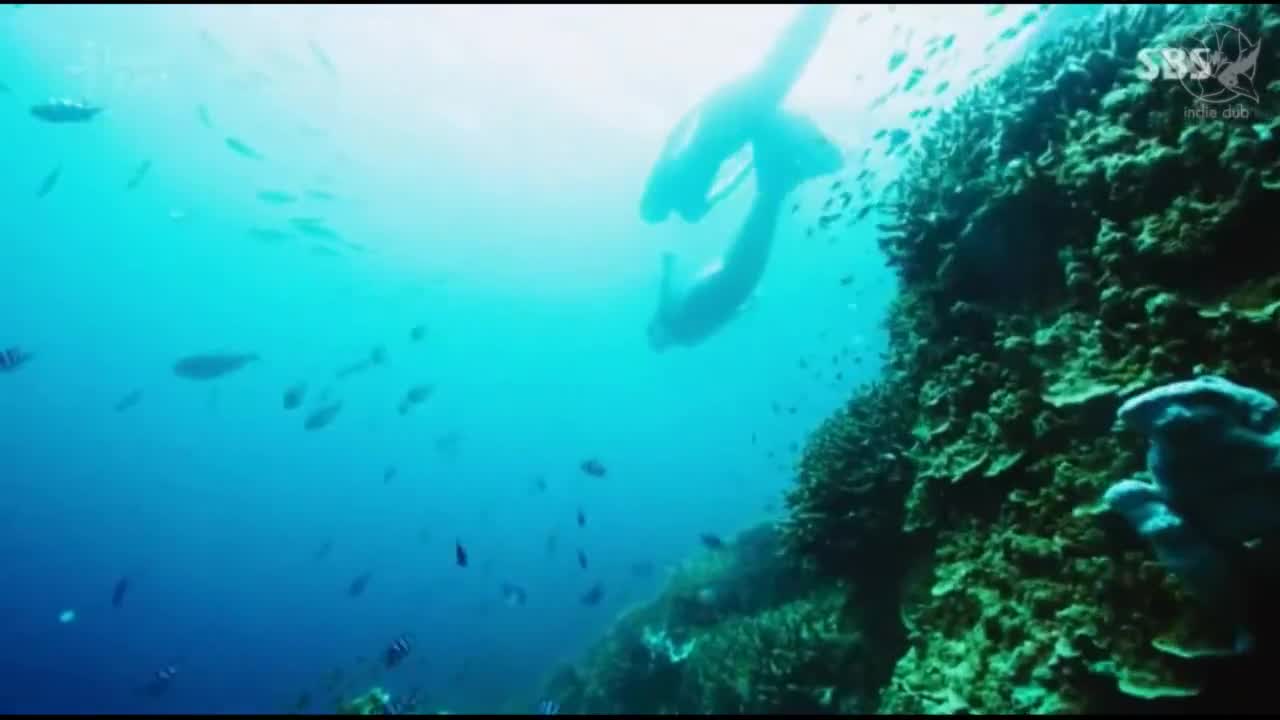 Легенда о синем море - кадр 2