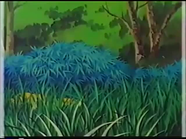 Лисы Тиронуп - кадр 4