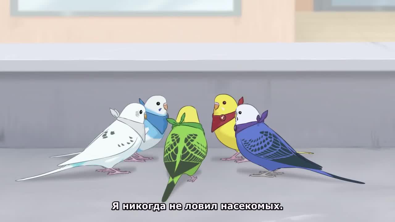 Разноцветные попугаи 2 - кадр 3