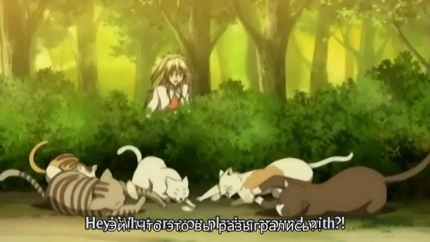 Священные звери [ТВ-2] - кадр 4